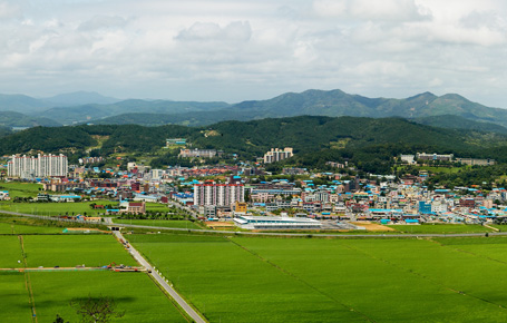 현재의 서천읍 전경입니다.